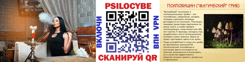 Псилоцибиновые грибы Psilocybine cubensis  блэк спрут   Гулькевичи  это как зайти  даркнет сайт 
