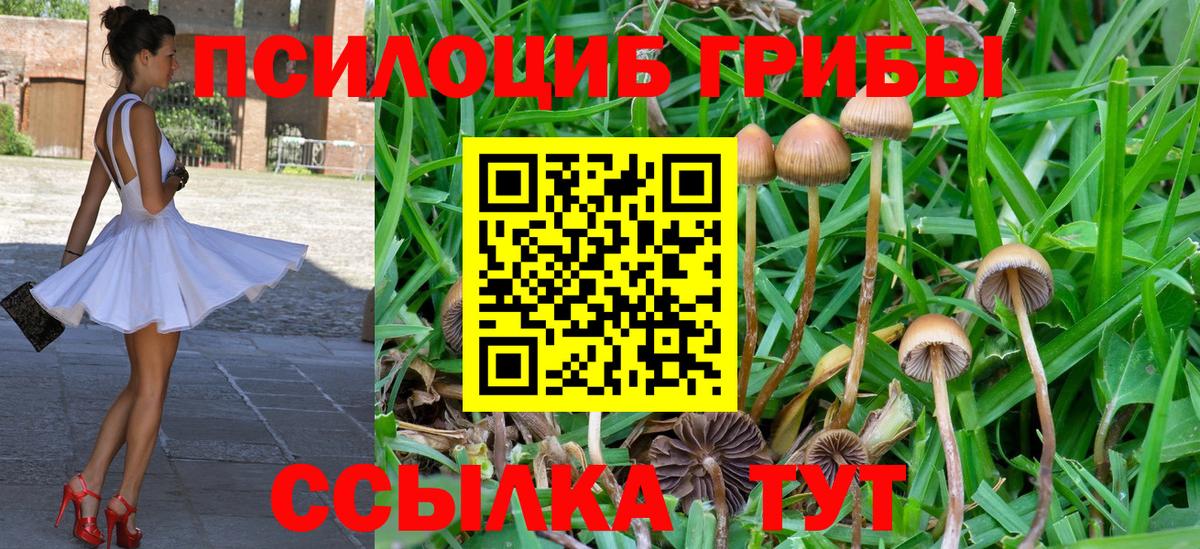 Галлюциногенные грибы MAGIC MUSHROOMS  Вход с VPN  Гулькевичи  Галлюциногенные грибы ЛСД 