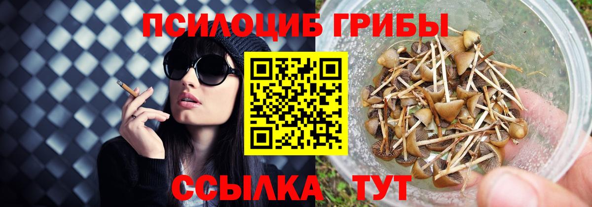 МДМА  COCAIN  МЕФ   Гулькевичи  МЕФ   Экстази  APVP СК   МАРИХУАНА  ГАШИШ  Codein 