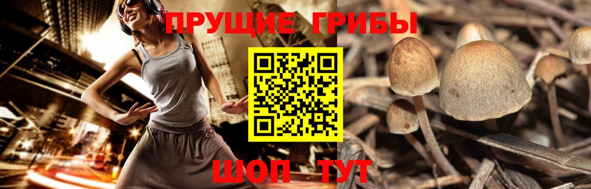 Галлюциногенные грибы MAGIC MUSHROOMS Гулькевичи